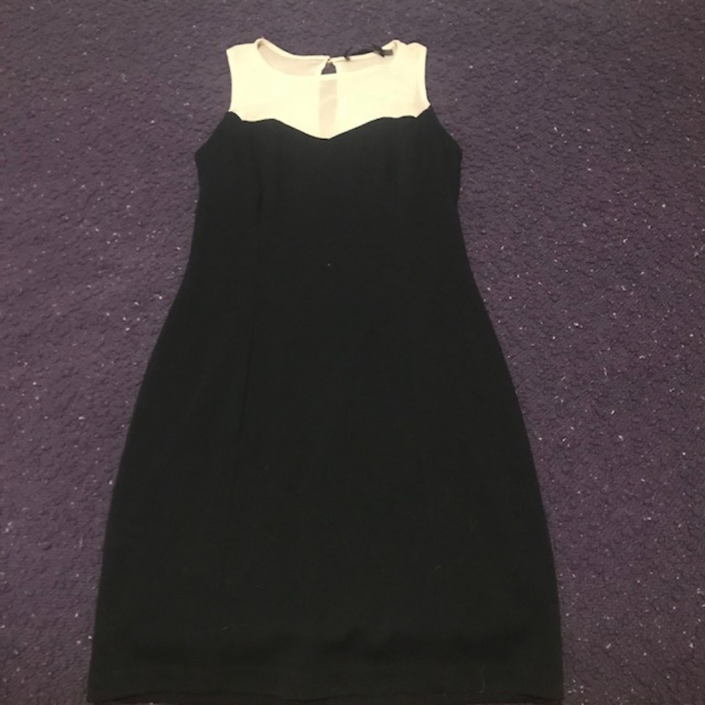 Black and Tan Mesh Mini Dress